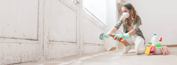 Best Attic Mold Removal  in Ville Ptte, LA